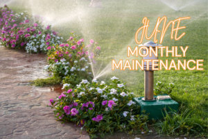 Living in South Orange County - events, real estate, and local life.